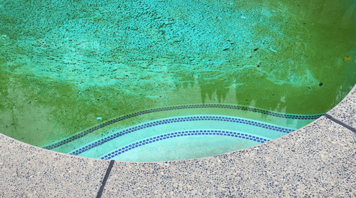 How to Remove Dead Algae from the Pool Bottom